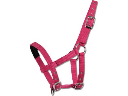 Halter for Mini-Shetty Waldhausen, azalea