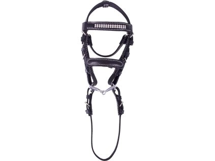 Mini bridle Madonna QHP, silver