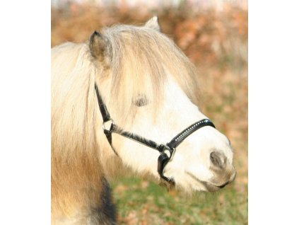 STAR Leather halter Diamond - black