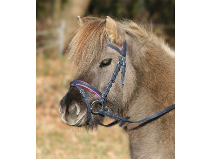 Unicorn Bridle 2 - night blue/azalea