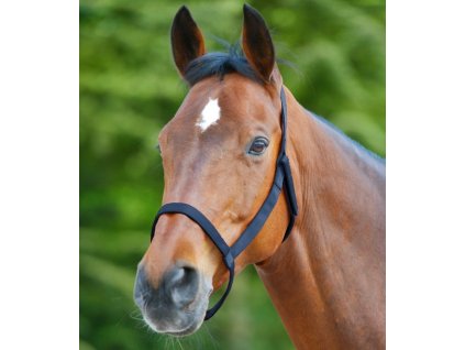 Field Halter Waldhausen, night blue