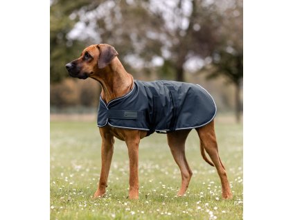 Dog raincoat Waldhausen, navy