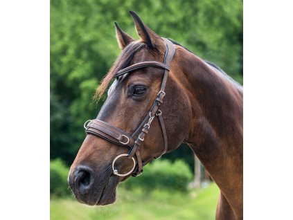 Cavesson Waldhausen, leather, anatomical, brown
