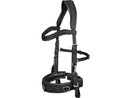 Cavesson Waldhausen, leather, anatomic, black