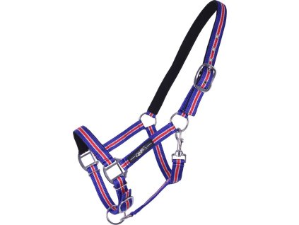 Head collar Icelandic QHP, COB, royal blue