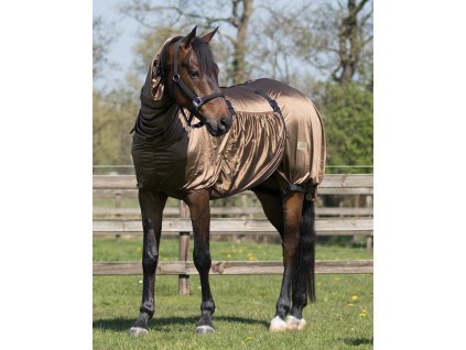 Eczema rug Q-essentials, with neck, brown