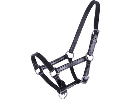 Foal head collar Chico Q-essentials, leather, black