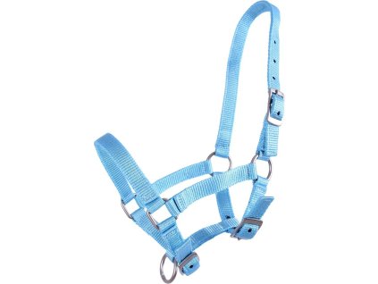 Foal halter Q-essentials, baby blue