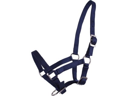Head collar foal Q-essentials, dark blue