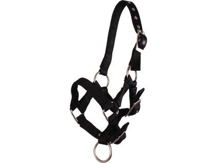 Head collar foal Q-essentials, black