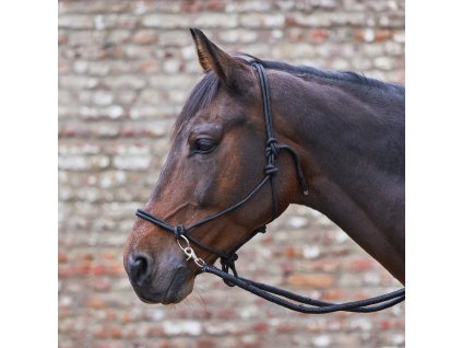 Knotted halter with reins Waldhausen, black
