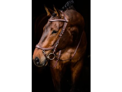 Anatomical bridle FaySport PresTeq, brown