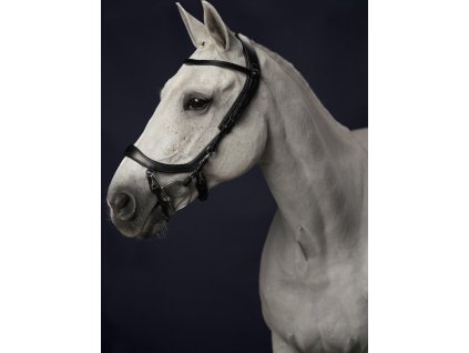Anatomical bridle FaySport PresTeq, black