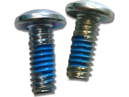 Gullet plate screws, pair
