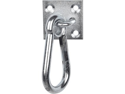 Carabiner Hook on Wall Plate Waldhausen