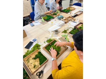 Relaxační kurz práce se stabilizovaným mechem