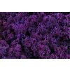 Sobí mech (polarmoss) 0,5 kg -