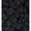 Sobí mech (polarmoss) 0,5 kg -