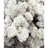 Sobí mech (polarmoss) 0,5 kg -