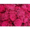 Sobí mech (polarmoss) 1 kg -