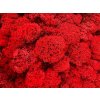 Sobí mech (polarmoss) 1 kg -
