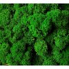 Sobí mech (polarmoss) 1 kg -