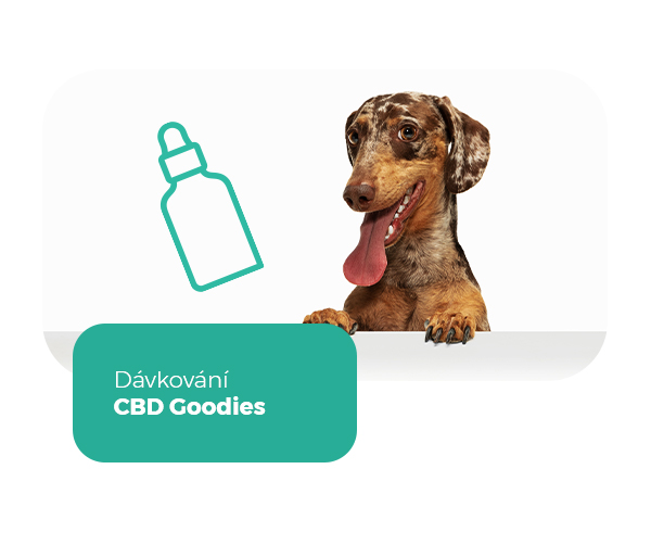 Dávkování CBD Goodies