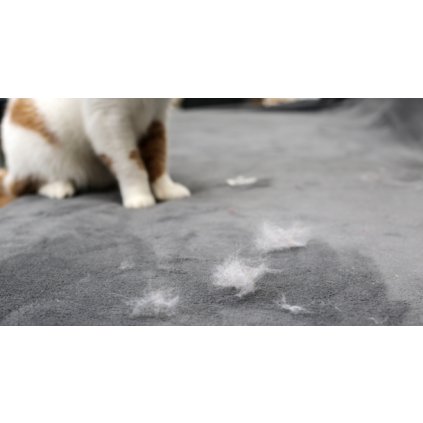 zvireci chlupy 610x328