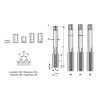 abse-231349