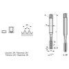 abse-231853