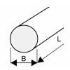 abse-209981