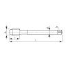 abse-232801