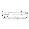 abse-220493
