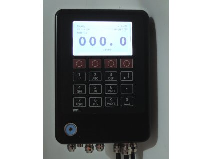 fmt management system