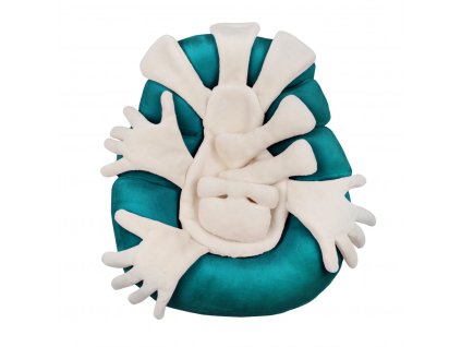 647 hnizdecko intensive vnitrni cast objimaci ruce 3 petrolej