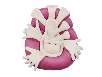 404 hnizdecko intensive vnitrni cast objimaci ruce 3 ruzova