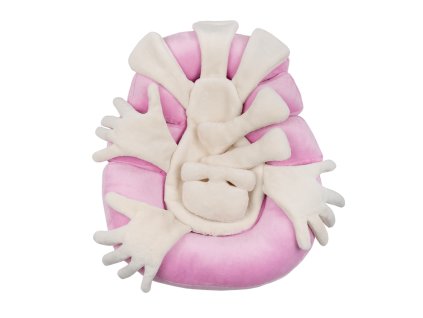 416 hnizdecko intensive vnitrni cast objimaci ruce 3 svetle ruzova