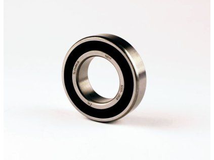 6005 2RS
