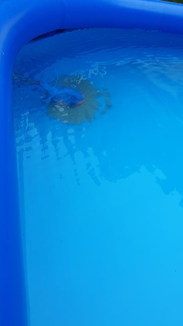 20200817_094658_small