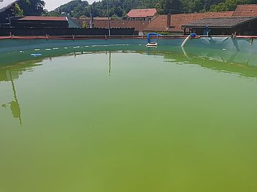 20230619_141020_small