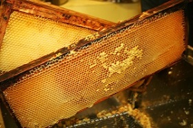 plast_280