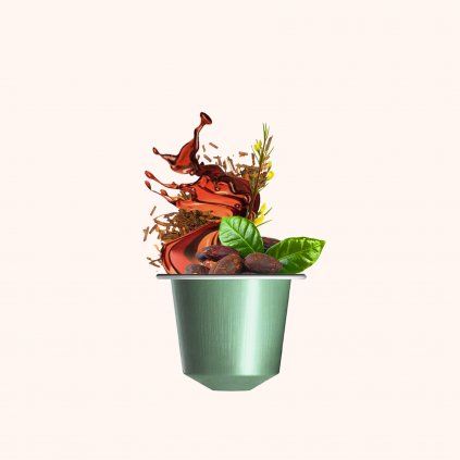 Chocolate Rooibos KAPSLE