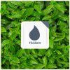assam black tea 2