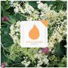 littlefloer2 20211026 225803