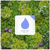 kickme2