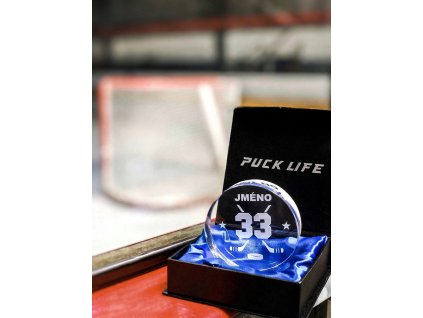 Hockey glass puck