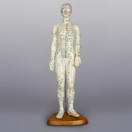 Model zena 48cm