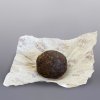 Puer Laotongzhi 4