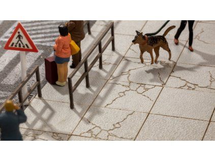 rs 21987 14237 A 16 9