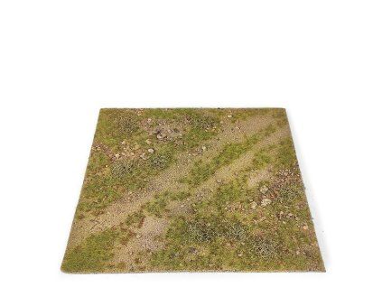 AMIG8486 desert plains